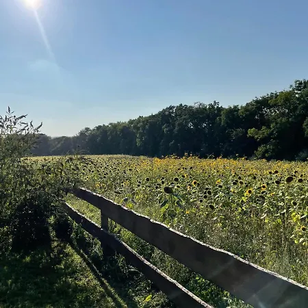 Norweger Haus Am Tollensesee Vakantiehuis
