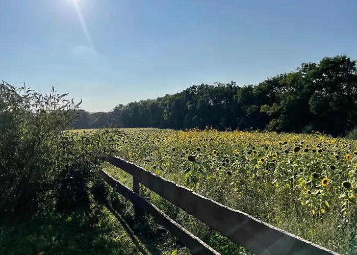 Norweger Haus Am Tollensesee 펜션