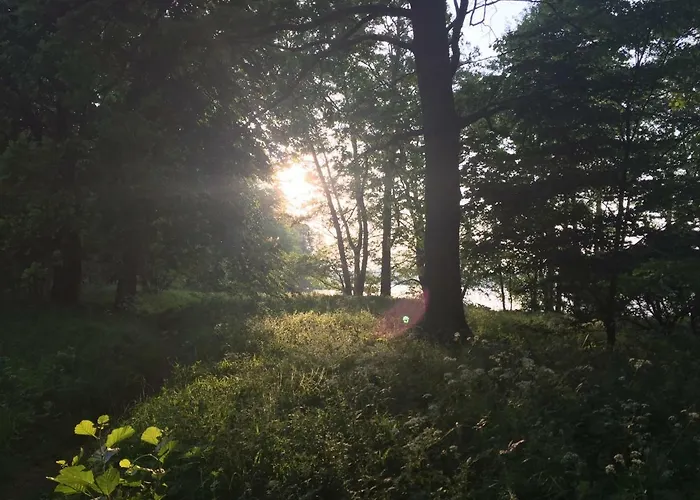 Norweger Haus Am Tollensesee * Groß Nemerow